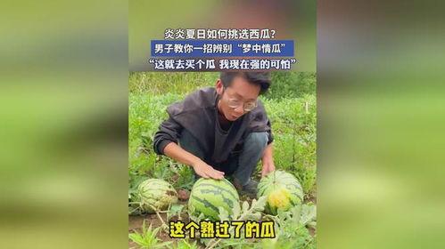 吃梦中情瓜怎么挑,揭秘如何挑选完美梦中情瓜