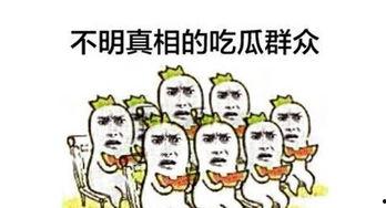吃瓜群众等结果,揭秘娱乐圈背后的真相