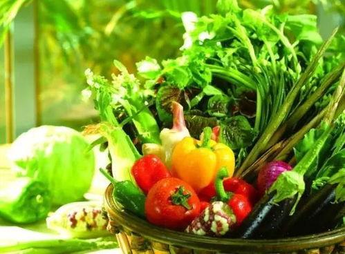 聚英河畔吃瓜,夏日吃瓜盛宴，畅享清凉时光