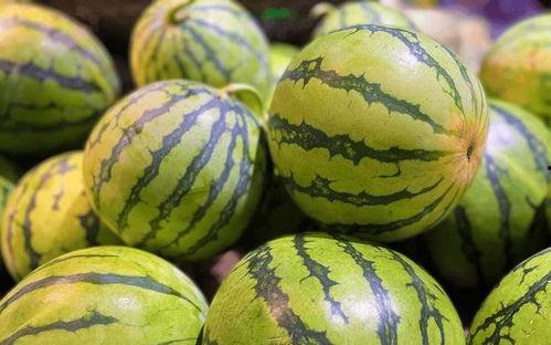 吃生瓜蛋,探索传统美食的魅力