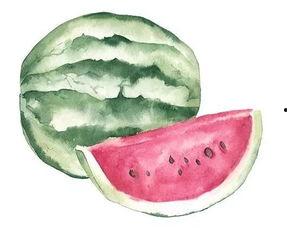 画稿吃瓜,吃瓜时光的美好瞬间