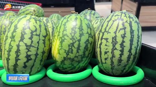 吃瓜青州老板,揭秘吃瓜老板的传奇人生