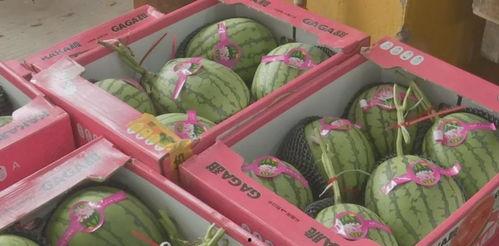 广州福利姬吃瓜,揭秘网络红人的幕后故事