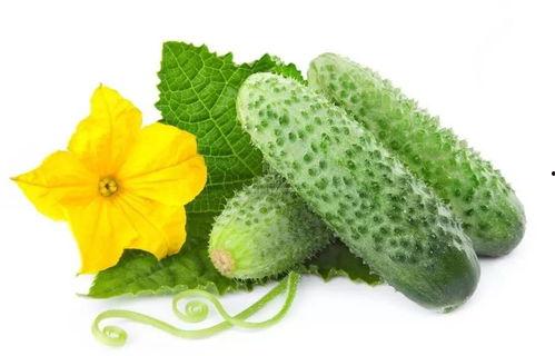 韩清婉吃瓜系统,娱乐圈幕后风云大揭秘