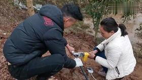 过年回农村吃瓜,过年回农村吃瓜的温馨时光