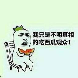 吃瓜套路,一场吃瓜盛宴，带你领略明星背后的故事