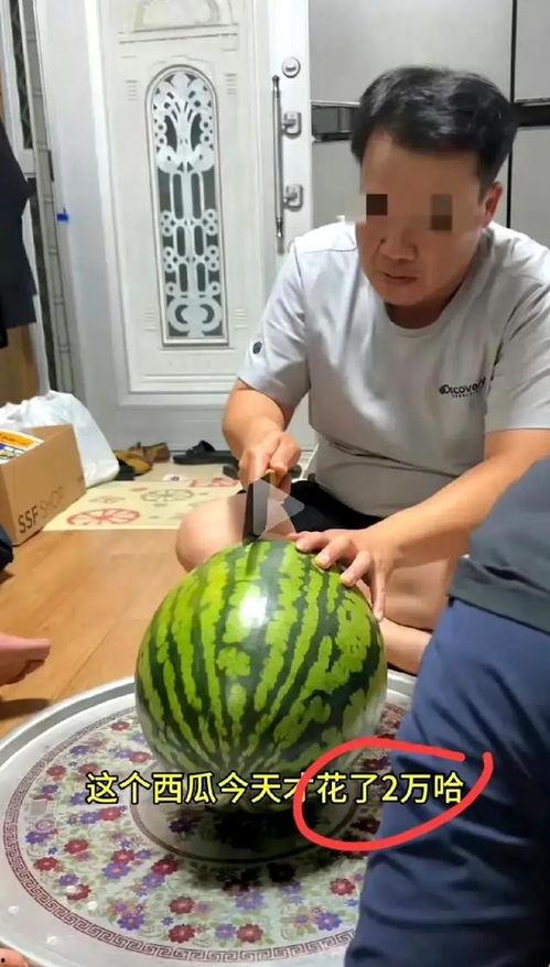 吃自己买的瓜,揭秘瓜农的甜蜜苦涩人生