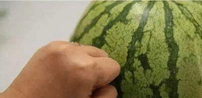 吃西瓜分瓜必看技巧,一招教你轻松分瓜不浪费