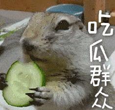 带你吃瓜完整版,揭秘带你吃瓜完整版背后的故事与精彩瞬间