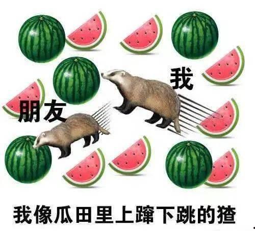 吃瓜先生有话说,娱乐圈那些事儿