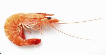 梦见吃瓜和虾,瓜果虾宴，揭秘潜意识中的美食诱惑