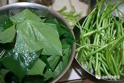牛角瓜尖叶怎么吃,牛角瓜尖叶的多样食用方法探索