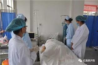 湖州卫校吃瓜事件,校园风波背后的真相与反思