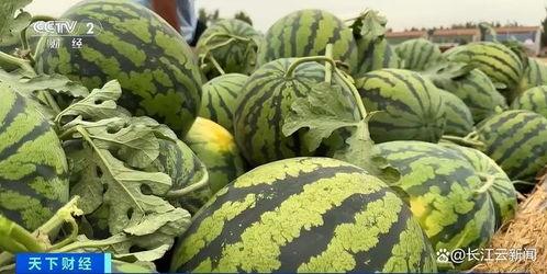 全网最新吃瓜,最新吃瓜事件大盘点，揭秘幕后真相！