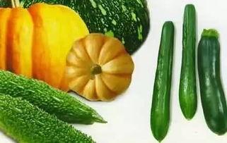 老晨吃瓜,揭秘娱乐圈那些不为人知的幕后故事