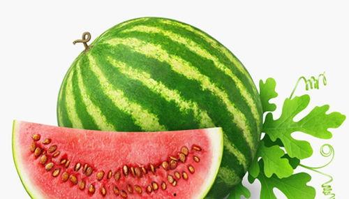 吃瓜情报处入口