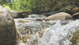 小溪地咖啡吃瓜,吃瓜群众的欢乐聚集地