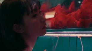 吃瓜少女硬汉,揭秘娱乐圈背后的真实故事