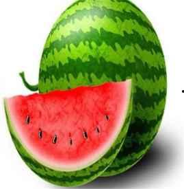 吃瓜的风水作用,揭秘日常生活中的吉祥物与禁忌