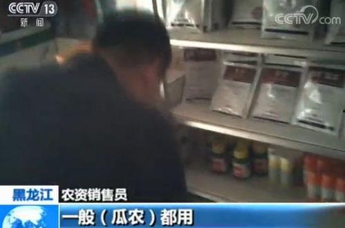 吃瓜群众请离开,揭秘网络舆论场的真相与误区