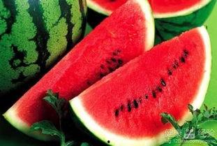 吃瓜解渴怎么画