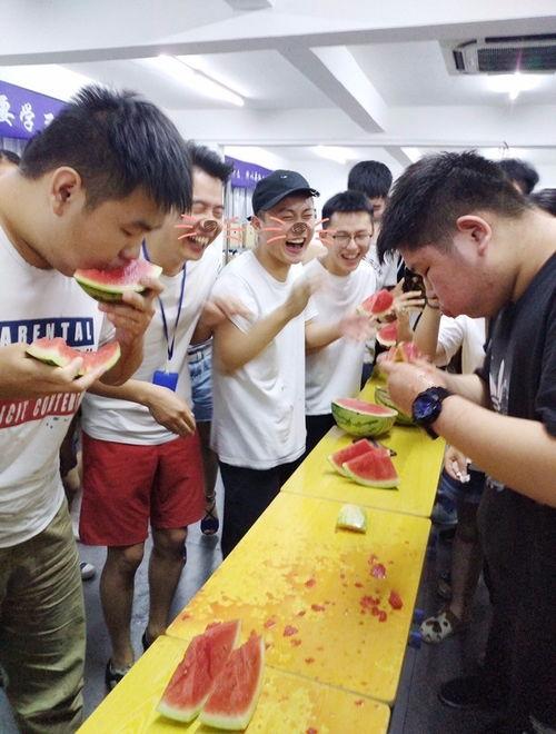 吃瓜中专战,揭秘校园里的“瓜田”风云