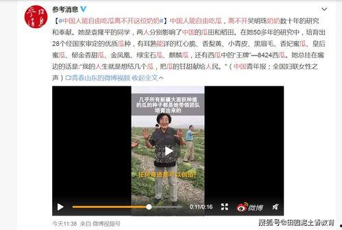 2014吃瓜91视频,91视频，带你回顾那些年我们一起“吃瓜”的日子