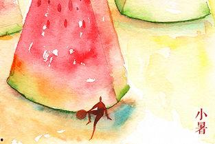 西瓜视频小暑吃瓜,夏日消暑必备美食攻略