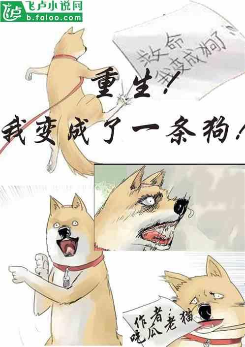 十八吃瓜小说,揭秘娱乐圈背后的秘密与真相