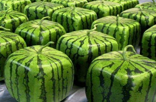 国乙最新吃瓜,最新吃瓜事件揭秘