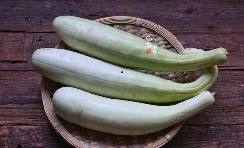 一天吃五瓜,每日一瓜，健康生活每一天