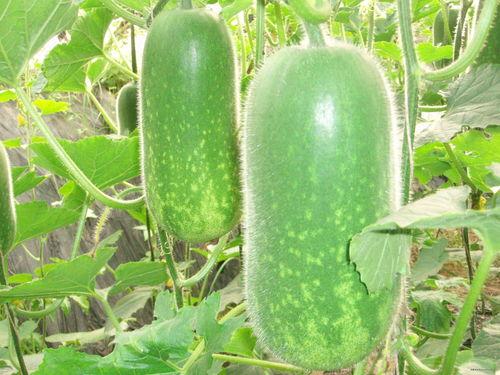 吃瓜者进主页,带你走进娱乐圈的幕后故事