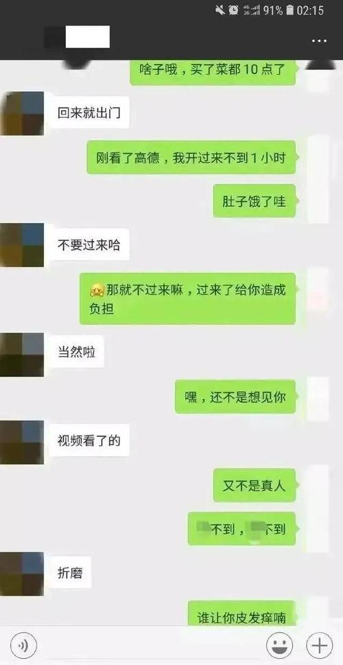 界首吃瓜聊天记录,揭秘日常趣闻轶事