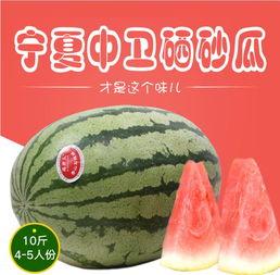 吃瓜品鉴官,品味瓜界风云，畅游美食江湖