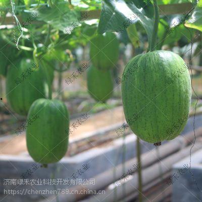 济南博科吃瓜,一场吃瓜群众的狂欢盛宴