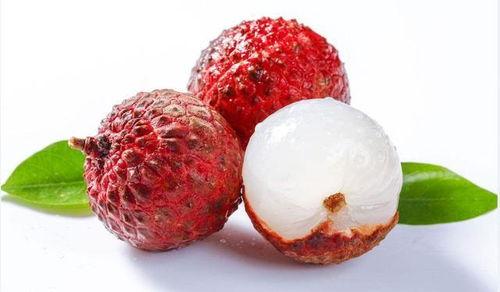 团宠吃瓜护卫,守护绿色家园的甜蜜行动