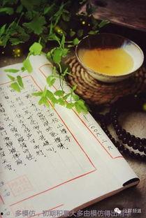 居家看书吃瓜文案短句,书香瓜影，悠然自得时光