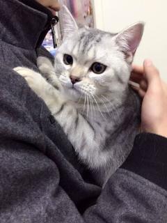 吃瓜视频大全兔子