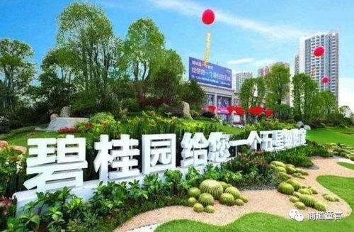 吃瓜广东碧桂园