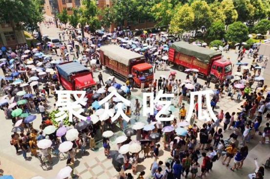 吃瓜武汉学校,揭秘校园里的那些“瓜”